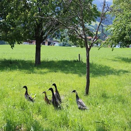 Lägenhet Gasteighof-2 By Interhome Kapfing