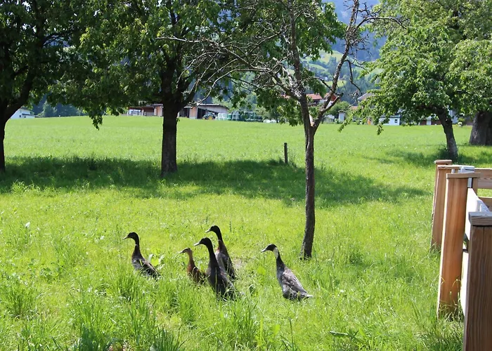 Lejlighed Gasteighof-2 By Interhome Kapfing